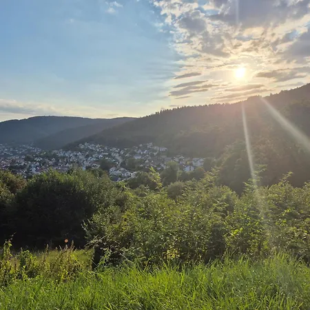 Lejlighed Am Schiff In Eberbach (Rhein-Neckar-Kreis)