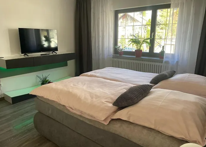 Am Schiff In Apartment Eberbach (Rhein-Neckar-Kreis)