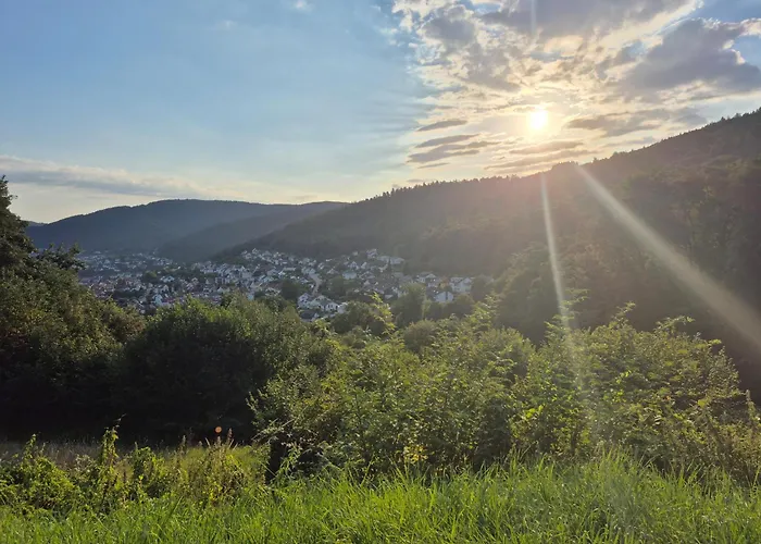 Apartment Am Schiff In Eberbach (Rhein-Neckar-Kreis)